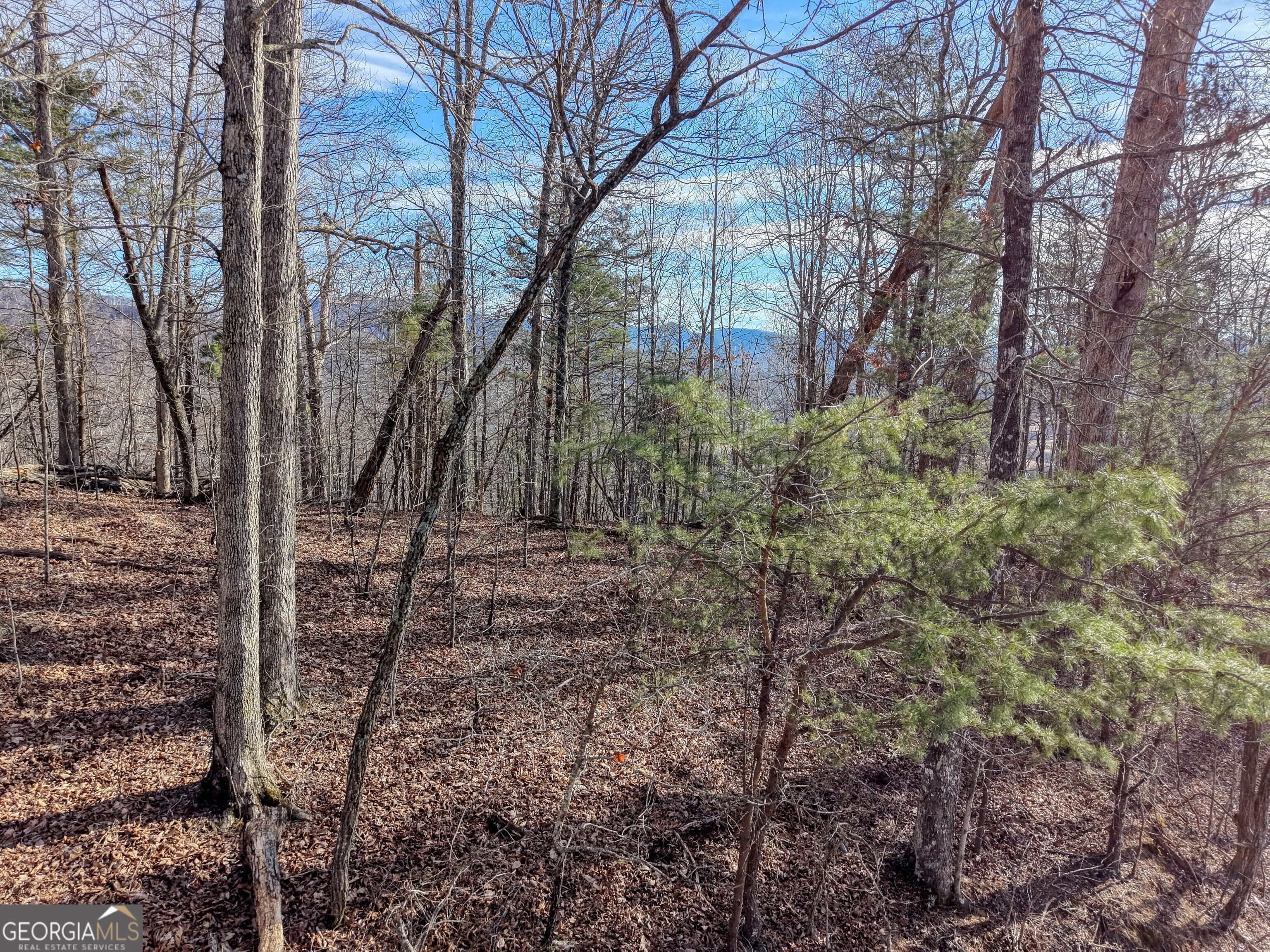 Lot 5 Harris Ridge Young Harris GA 30582