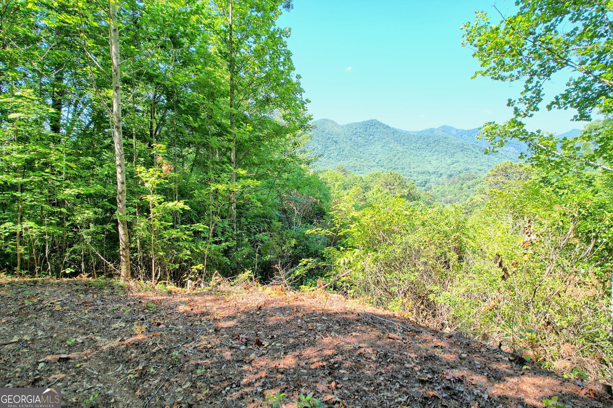0 Raven Fork Trail Dillard GA 30537