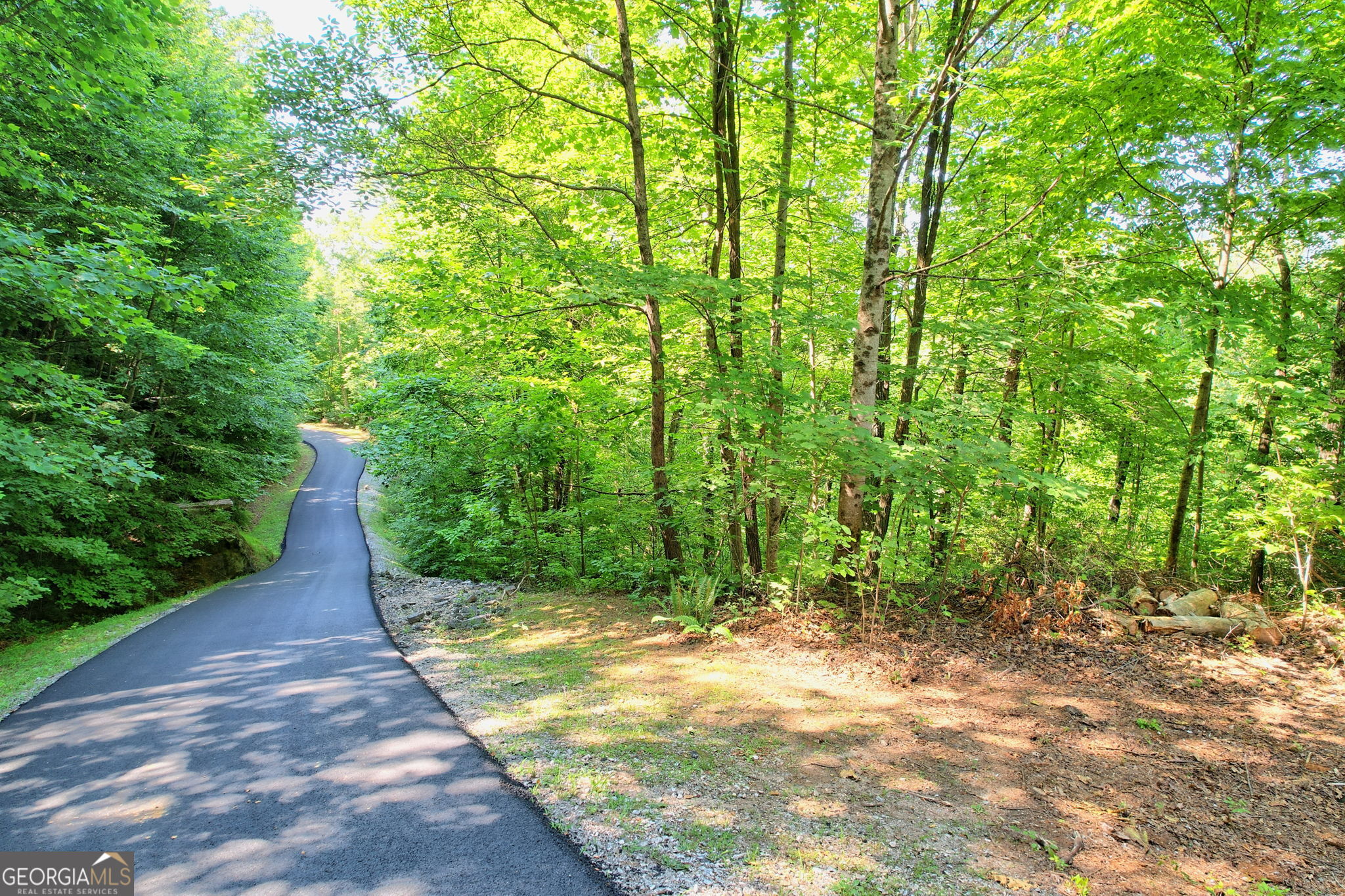 0 Raven Fork Trail Dillard GA 30537