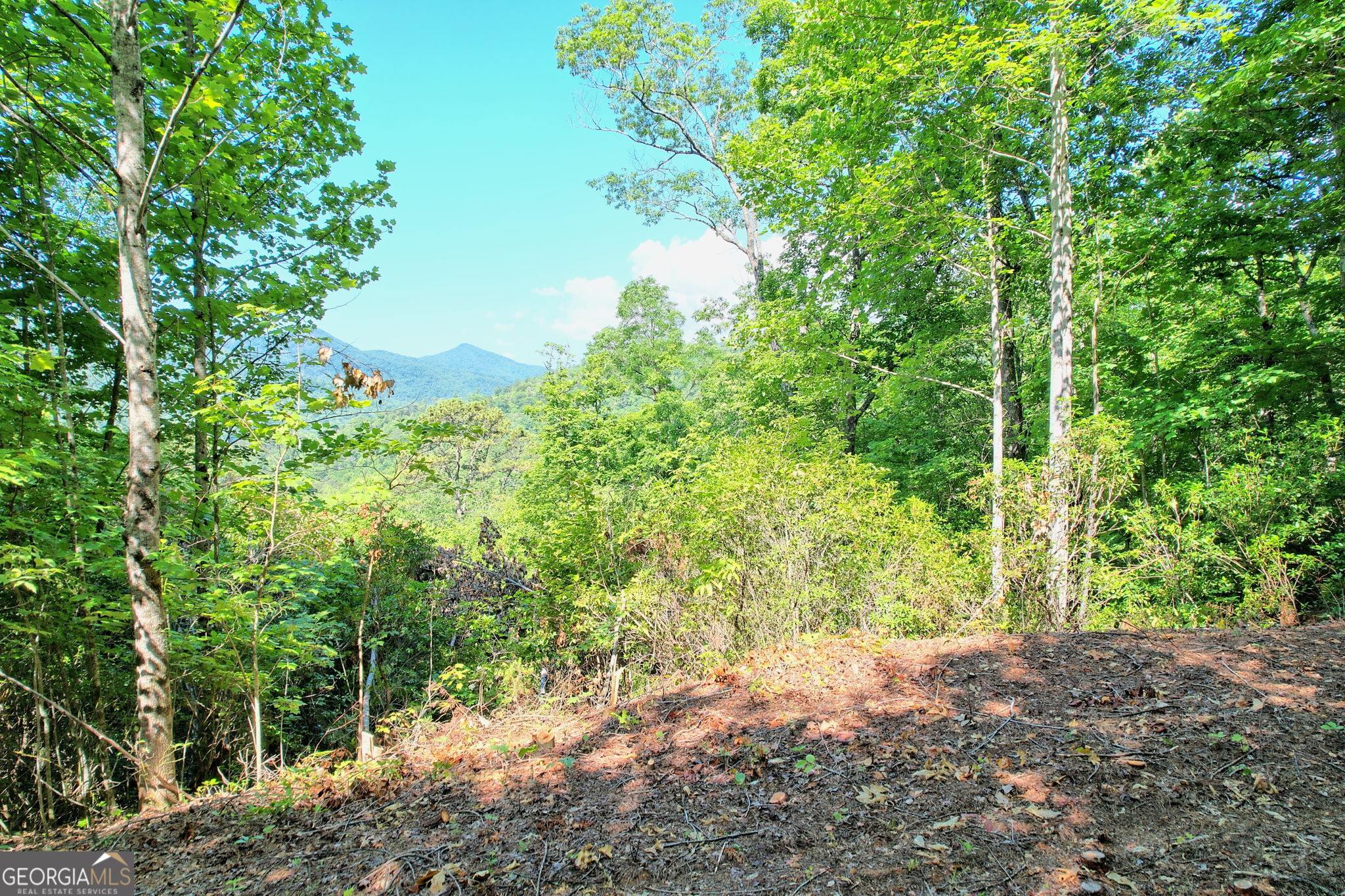 0 Raven Fork Trail Dillard GA 30537