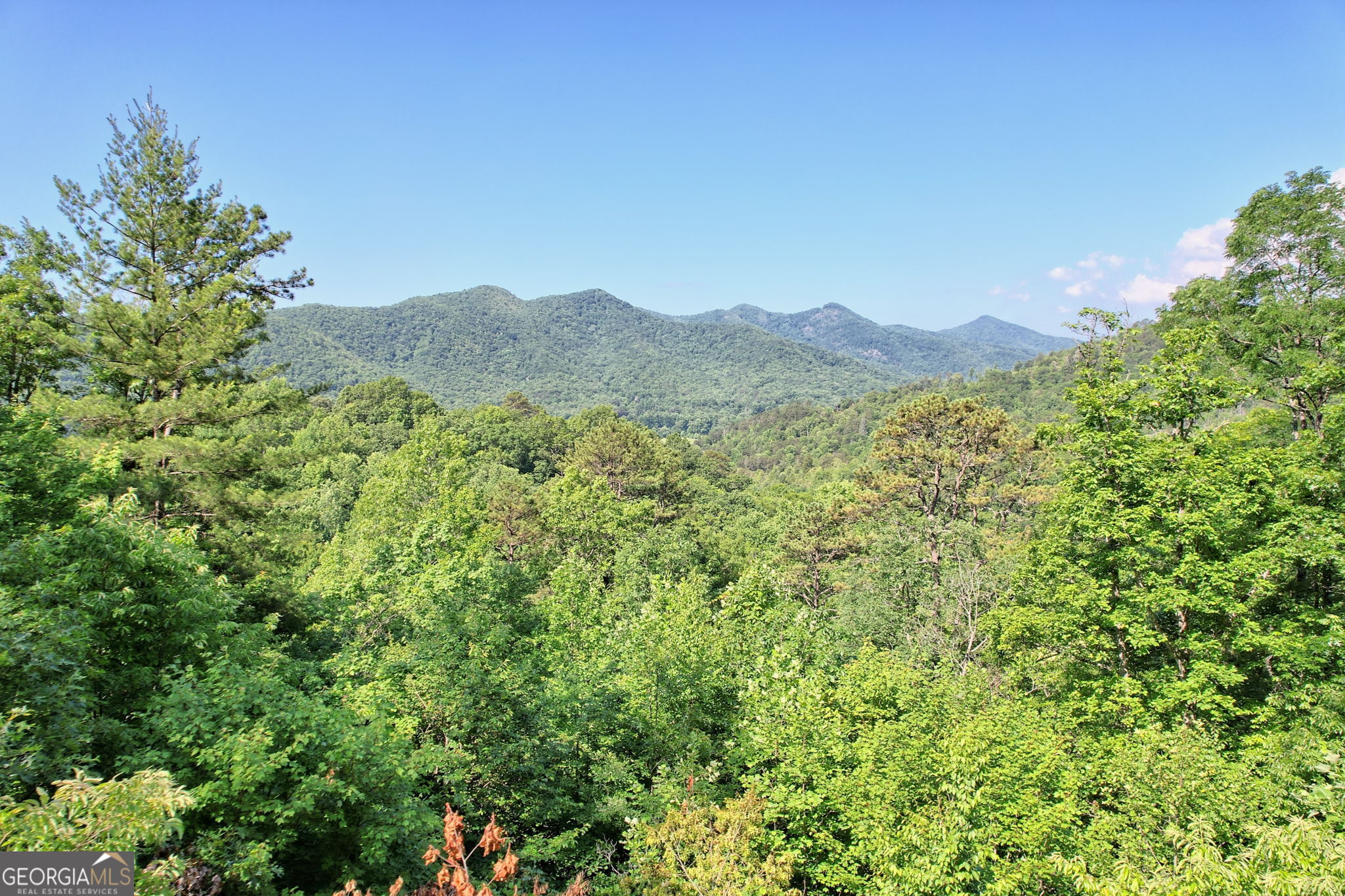 0 Raven Fork Trail Dillard GA 30537