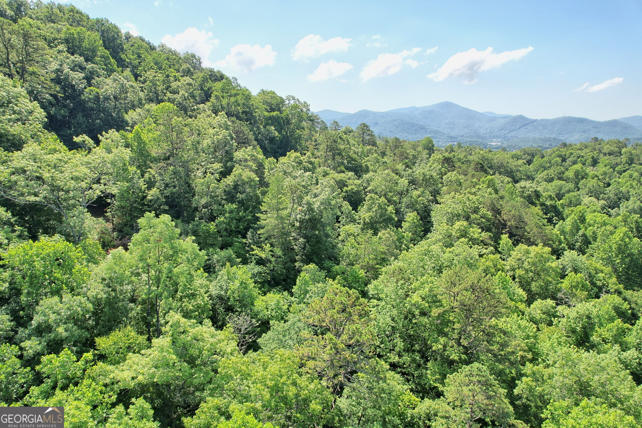 0 Raven Fork Trail Dillard GA 30537