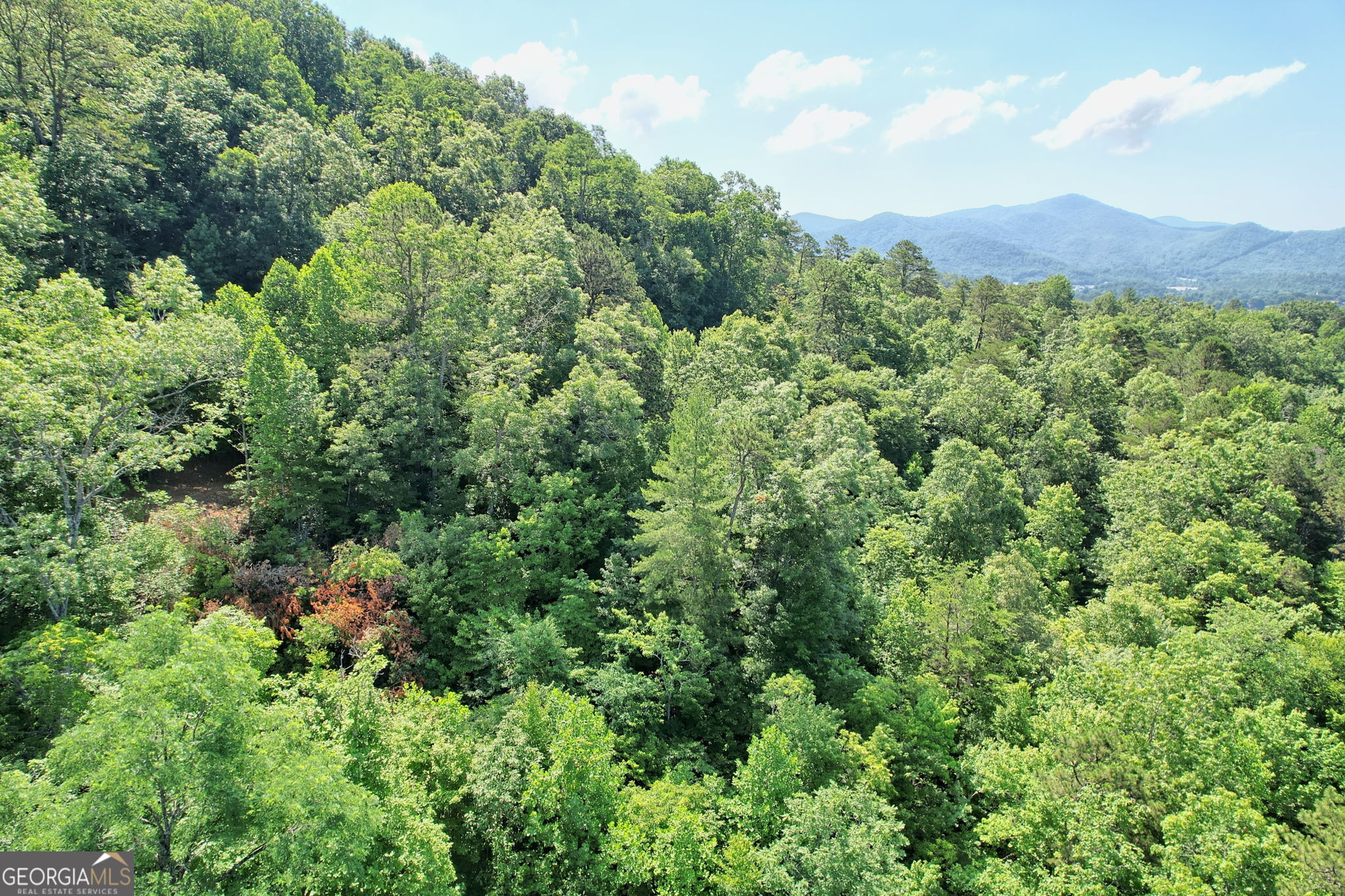 0 Raven Fork Trail Dillard GA 30537