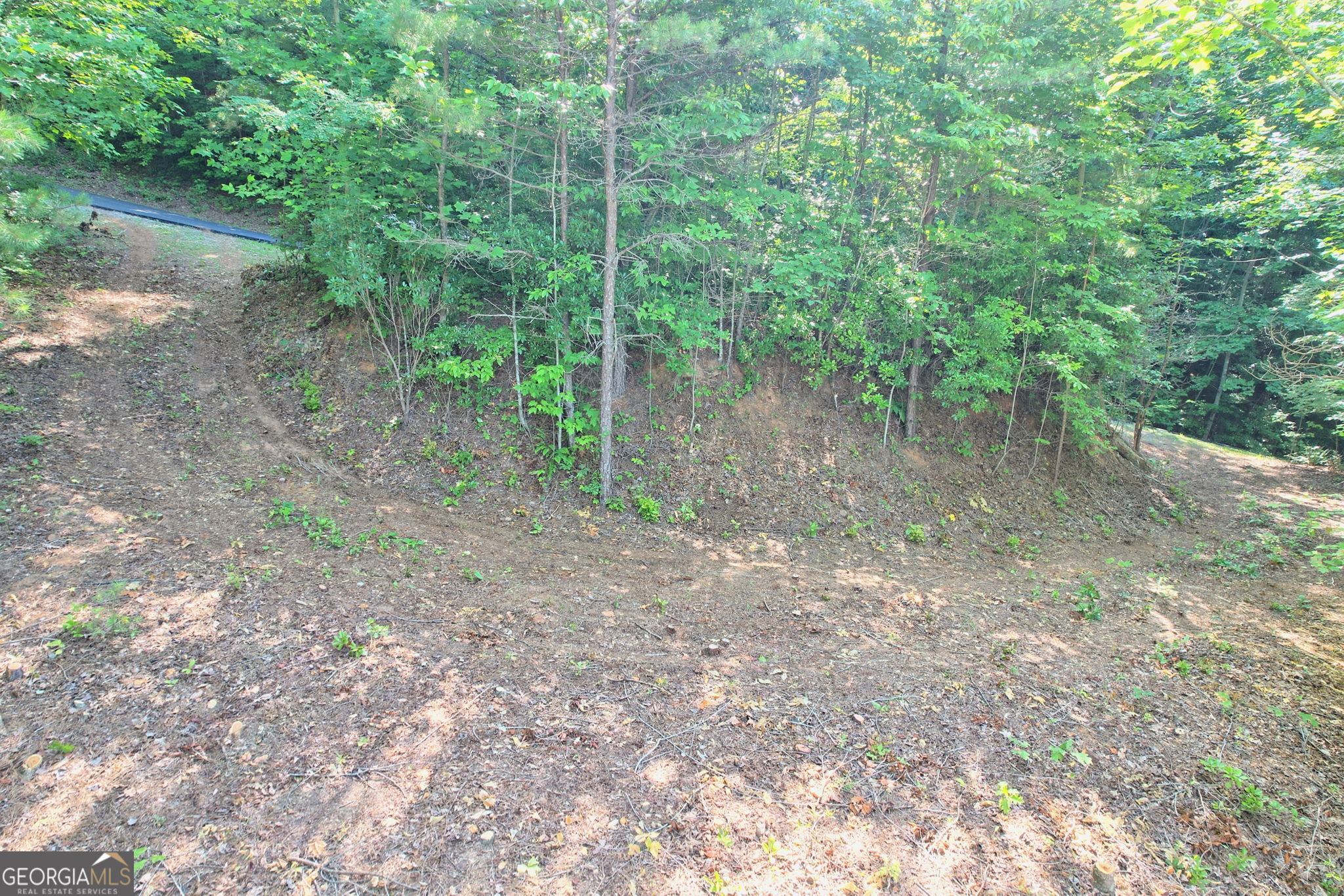 0 Raven Fork Trail Dillard GA 30537