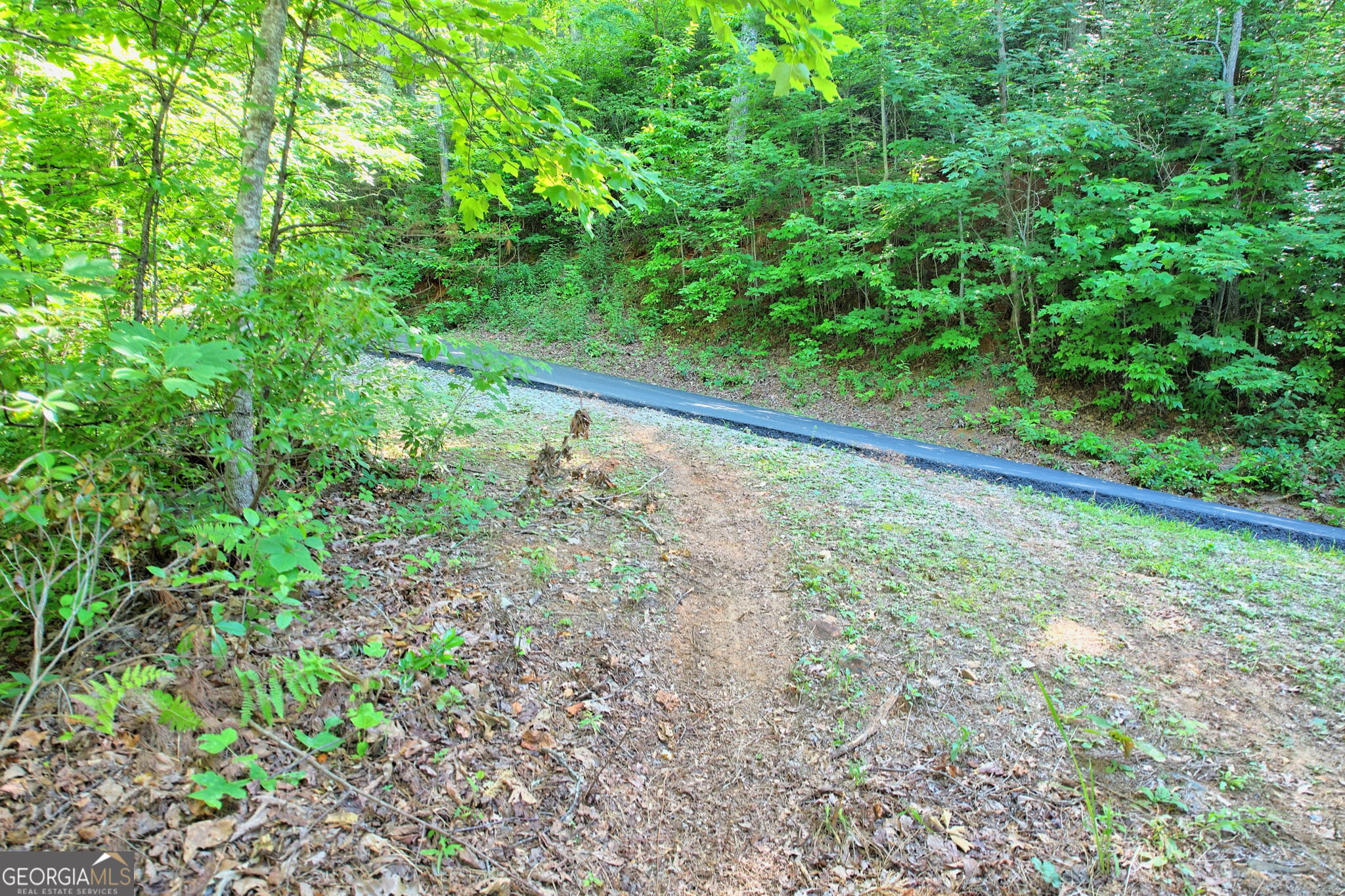 0 Raven Fork Trail Dillard GA 30537