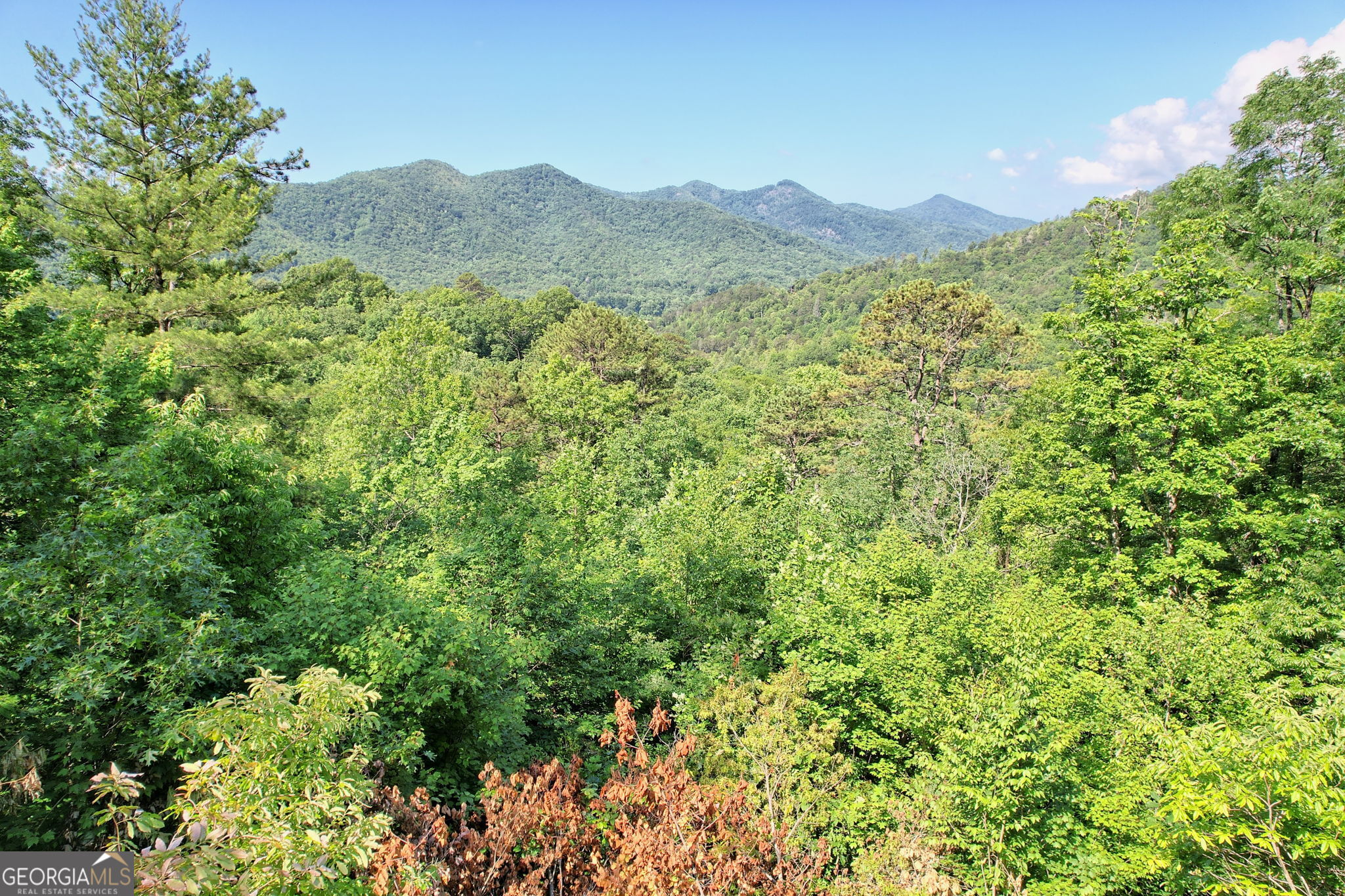 0 Raven Fork Trail Dillard GA 30537