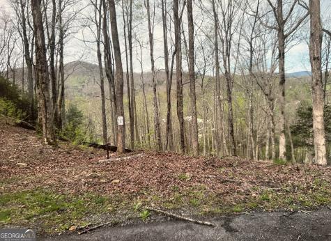 LOT 3 Buckhead Hills Hiawassee GA 30546
