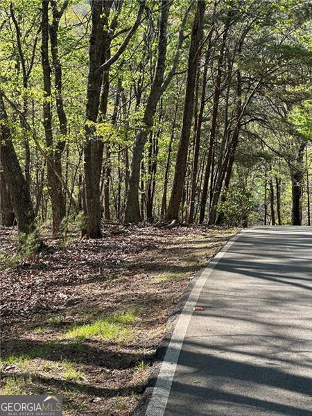141 Wood Fern Knoll Big Canoe GA 30143