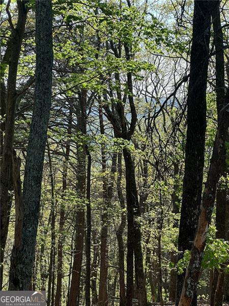 141 Wood Fern Knoll Big Canoe GA 30143