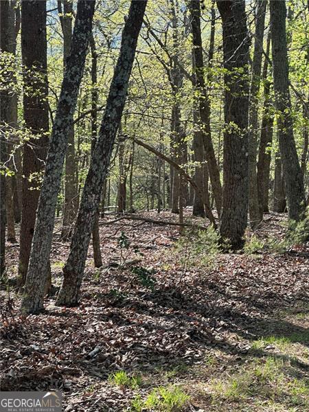 141 Wood Fern Knoll Big Canoe GA 30143