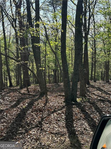 141 Wood Fern Knoll Big Canoe GA 30143
