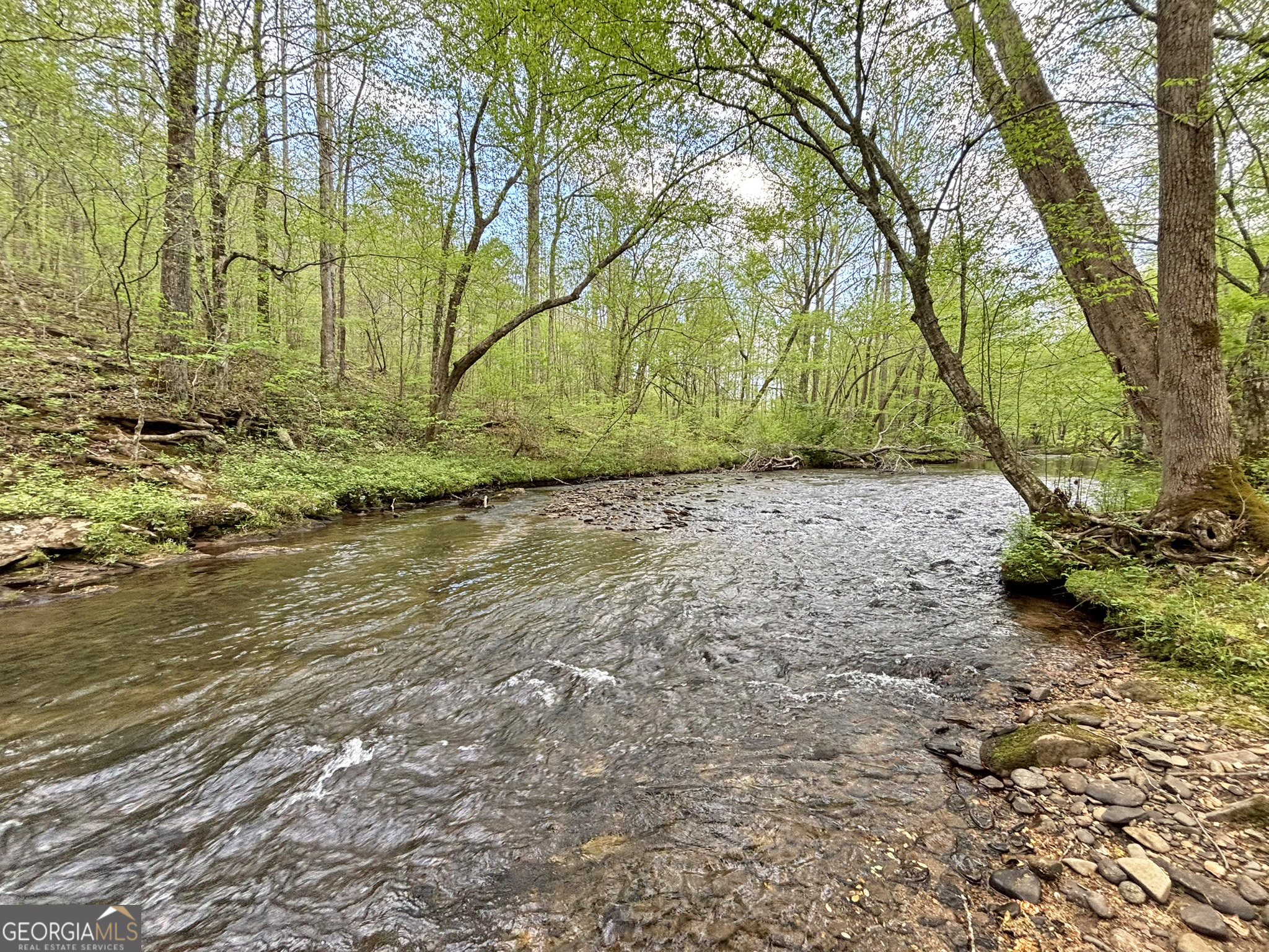 Lt 5 Spiva Cove Road Blairsville GA 30512