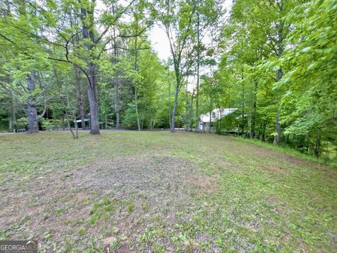 Lt 5 Spiva Cove Road Blairsville GA 30512