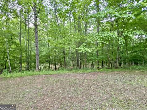 Lt 5 Spiva Cove Road Blairsville GA 30512