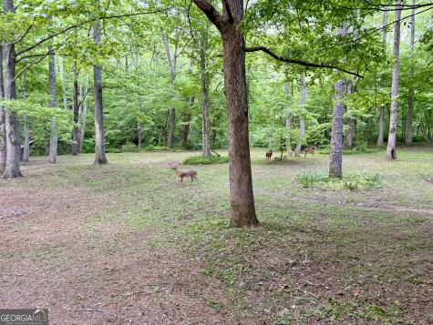Lt 5 Spiva Cove Road Blairsville GA 30512