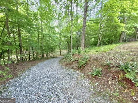Lt 5 Spiva Cove Road Blairsville GA 30512