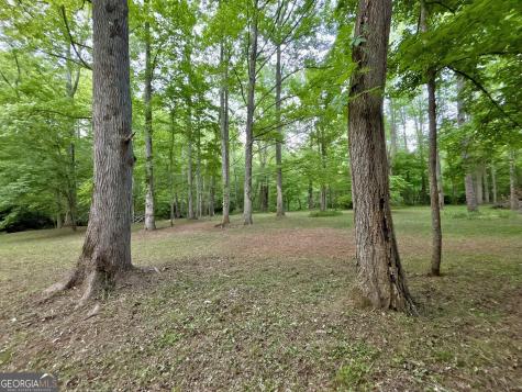 Lt 5 Spiva Cove Road Blairsville GA 30512