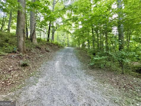 Lt 5 Spiva Cove Road Blairsville GA 30512