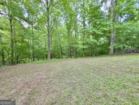 Lt 5 Spiva Cove Road Blairsville GA 30512