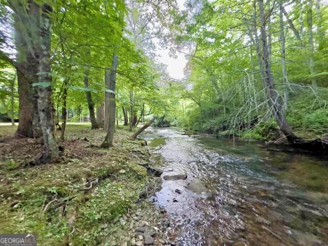 Lt 5 Spiva Cove Road Blairsville GA 30512