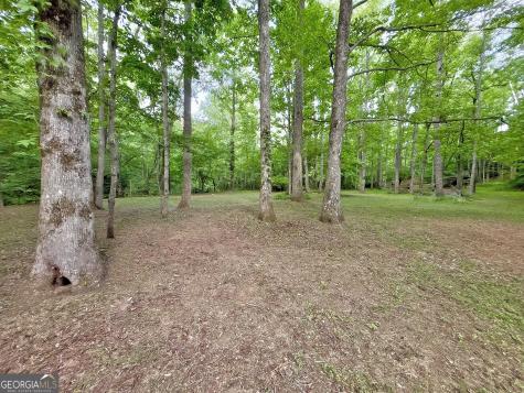 Lt 5 Spiva Cove Road Blairsville GA 30512