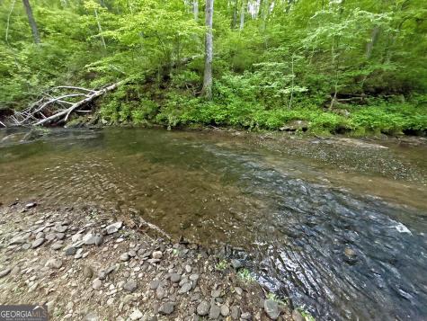 Lt 5 Spiva Cove Road Blairsville GA 30512