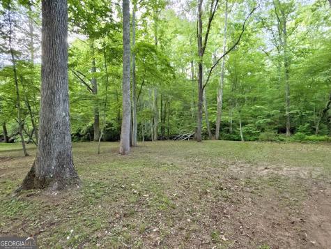 Lt 5 Spiva Cove Road Blairsville GA 30512