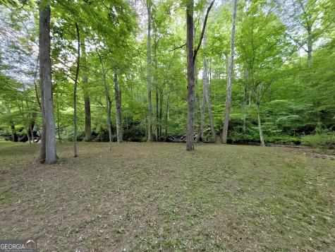 Lt 5 Spiva Cove Road Blairsville GA 30512