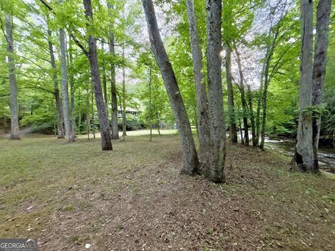 Lt 5 Spiva Cove Road Blairsville GA 30512