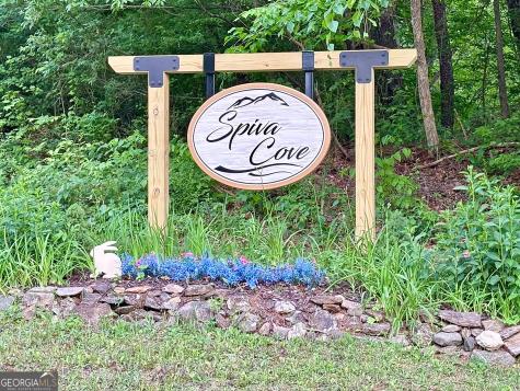 Lt 5 Spiva Cove Road Blairsville GA 30512