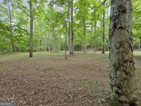Lt 5 Spiva Cove Road Blairsville GA 30512