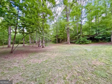 Lt 5 Spiva Cove Road Blairsville GA 30512