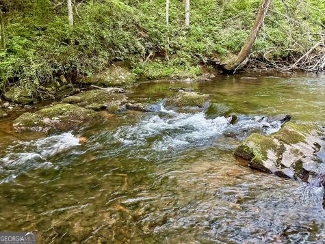 Lt 5 Spiva Cove Road Blairsville GA 30512