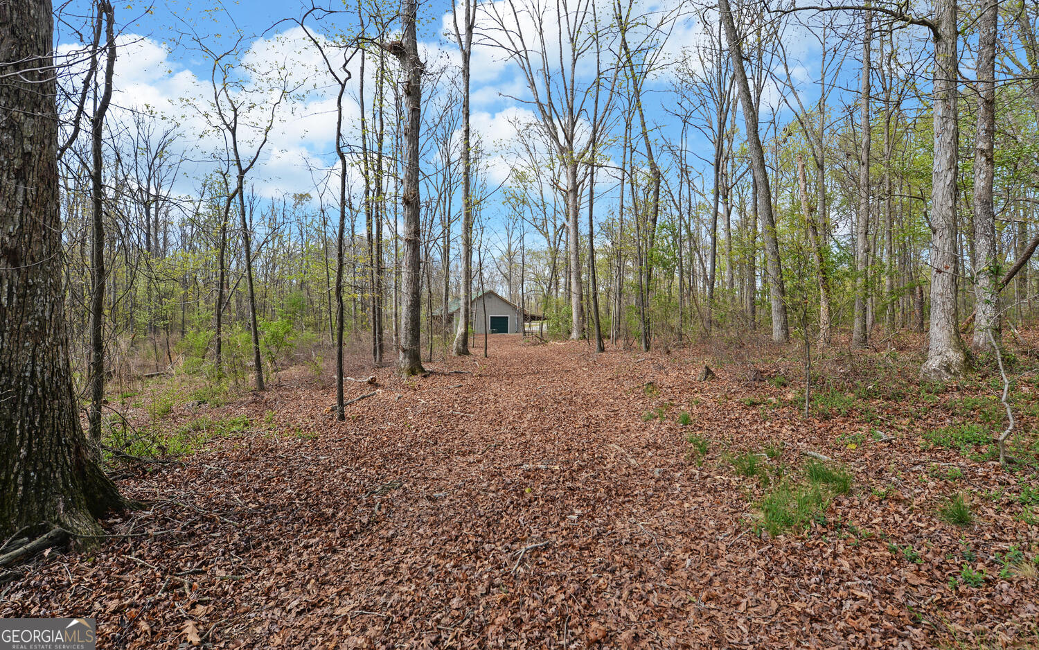 0 Woodland Way Dewy Rose GA 30634