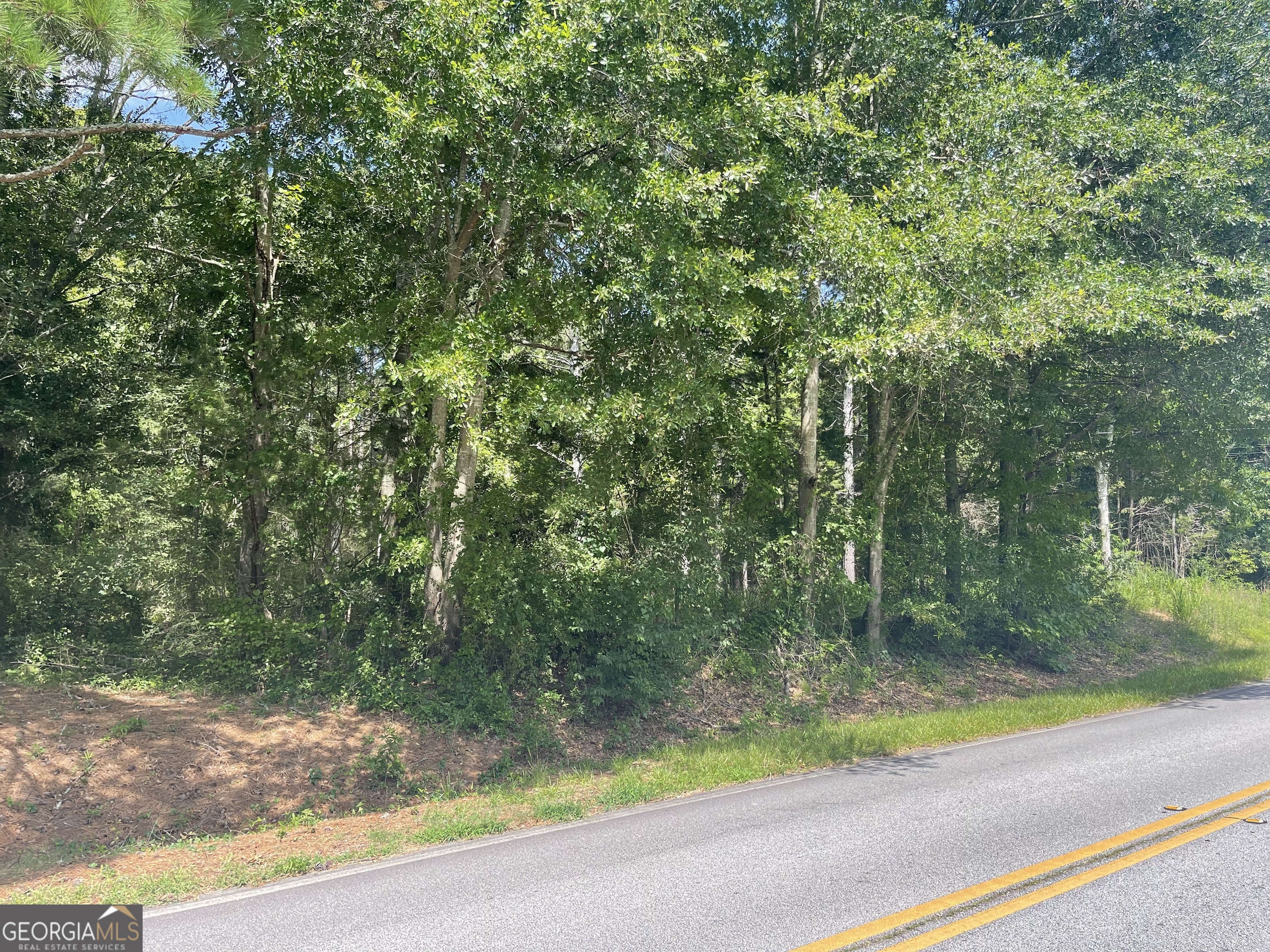 0 Asa Mosley Road Mcdonough GA 30252