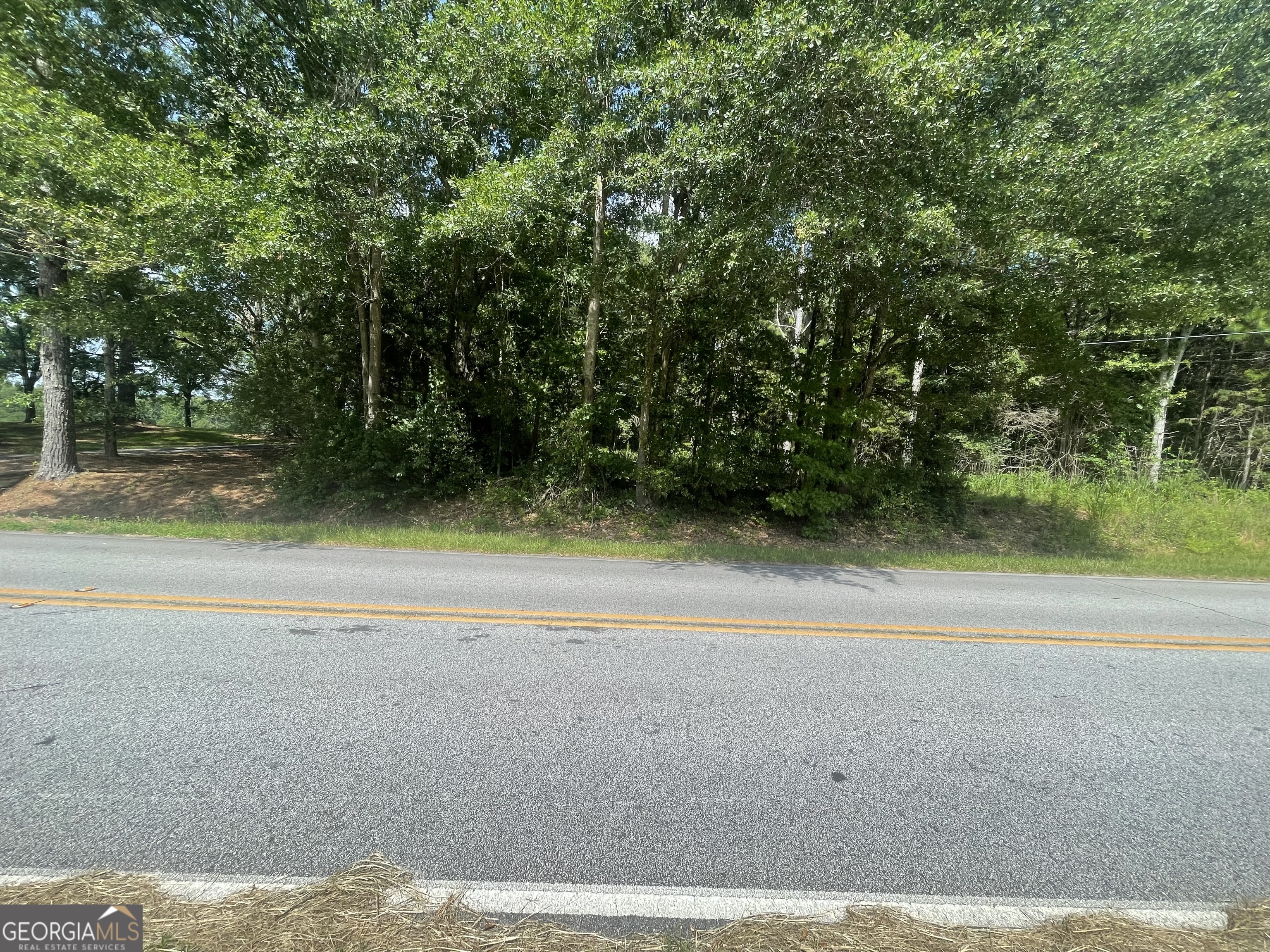 0 Asa Mosley Road Mcdonough GA 30252
