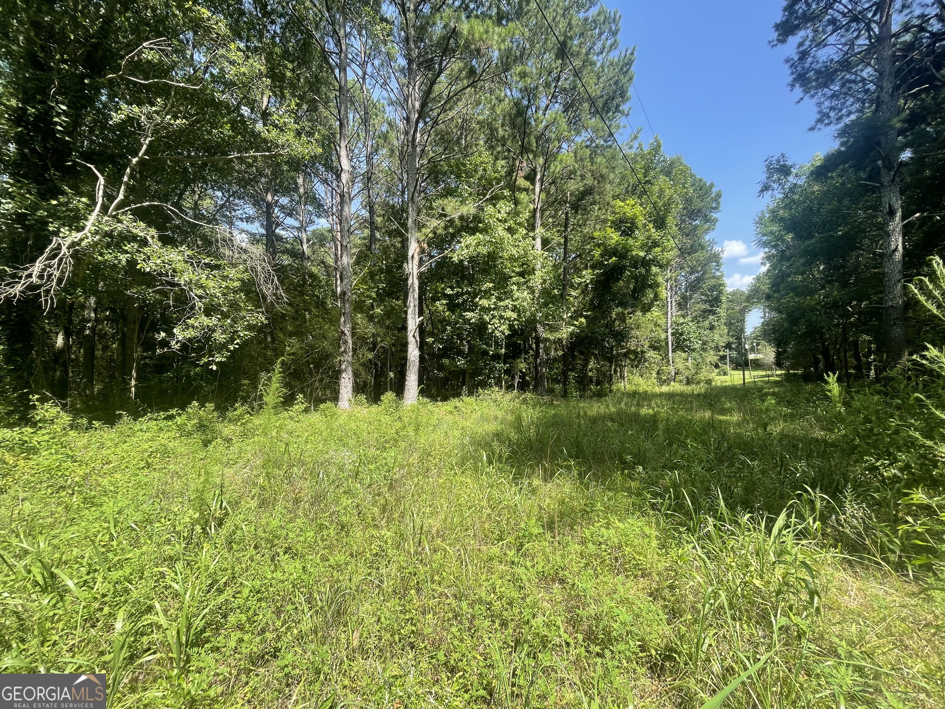 0 Asa Mosley Road Mcdonough GA 30252