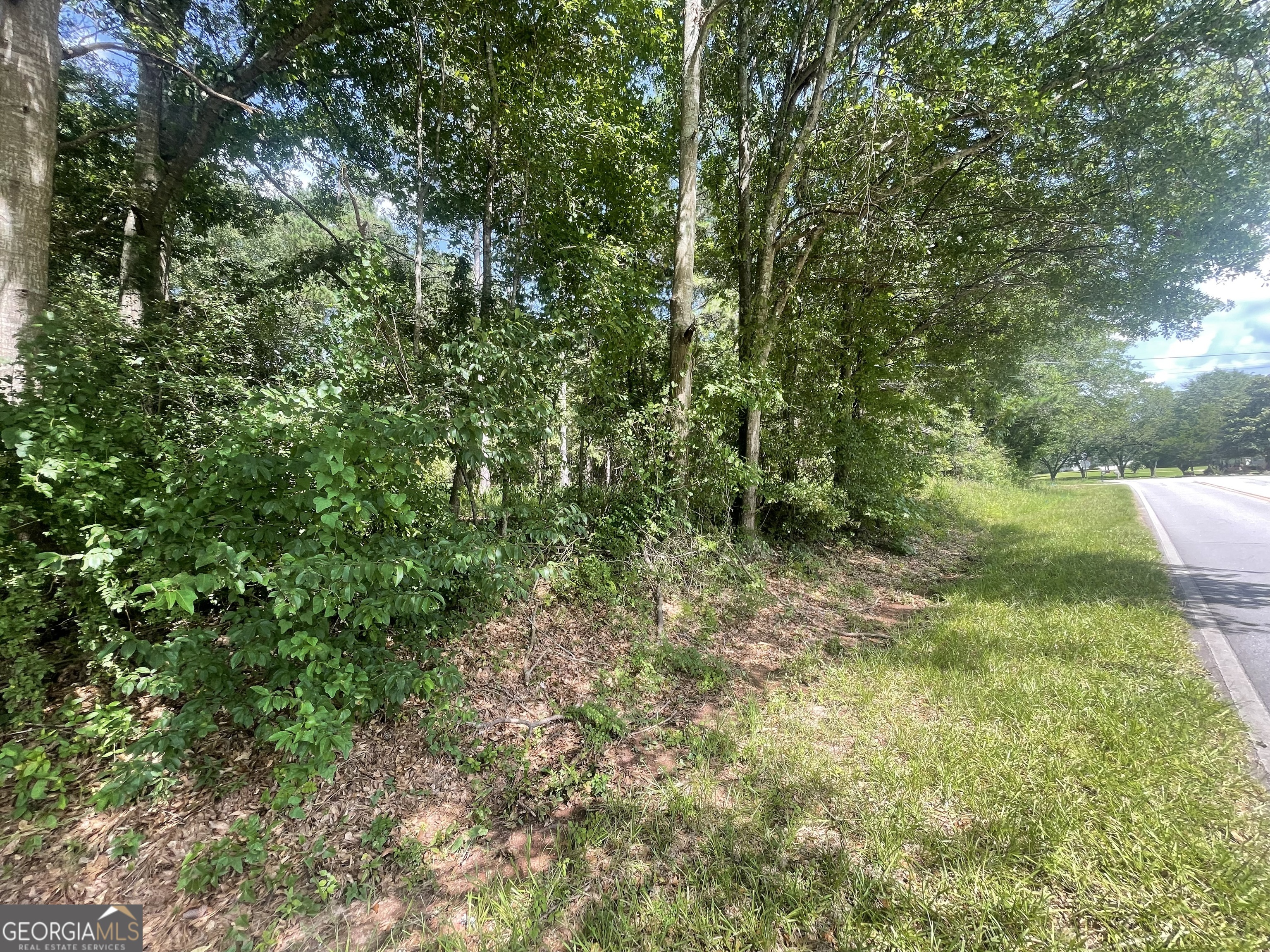 0 Asa Mosley Road Mcdonough GA 30252