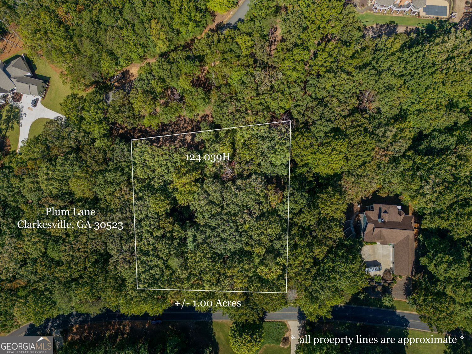 0 Plum Lane Clarkesville GA 30523