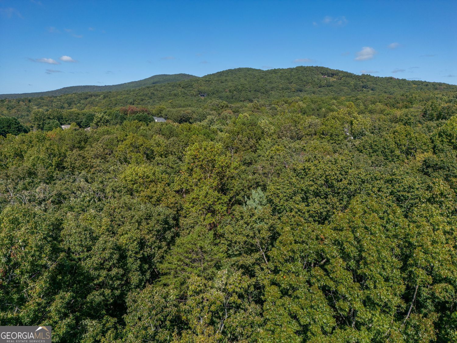 0 Plum Lane Clarkesville GA 30523