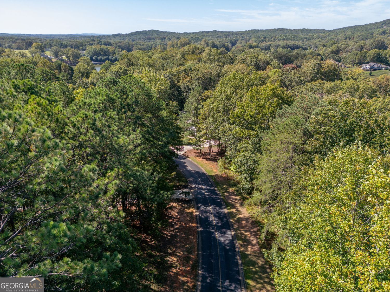 0 Plum Lane Clarkesville GA 30523