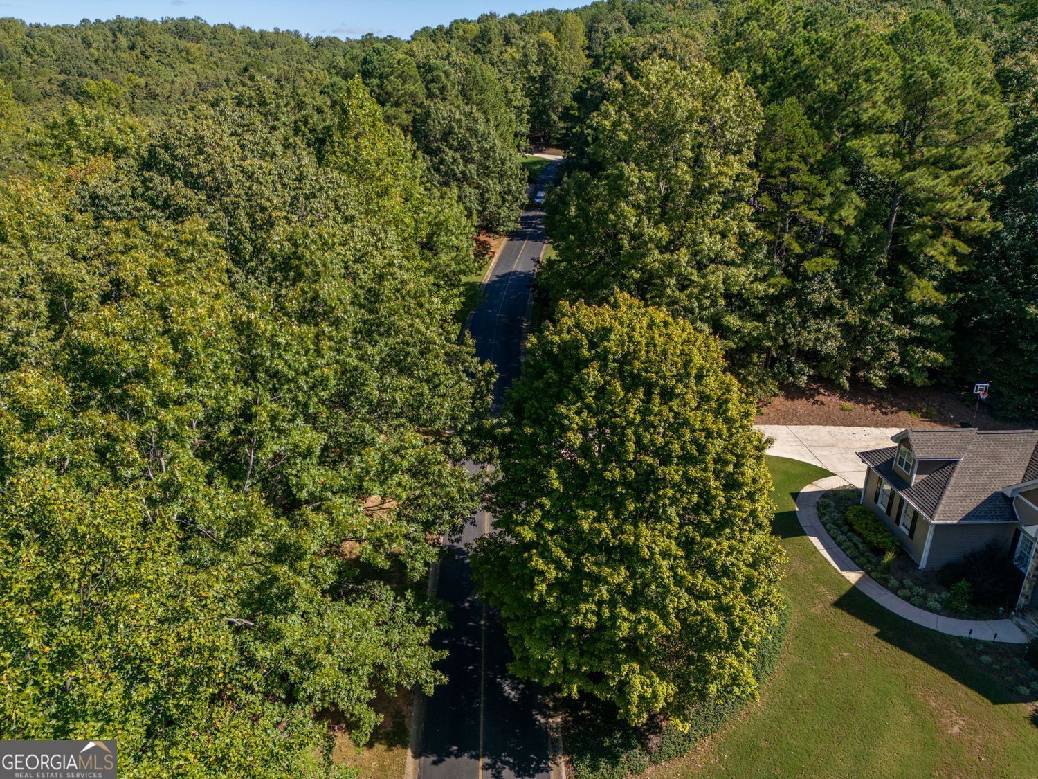 0 Plum Lane Clarkesville GA 30523