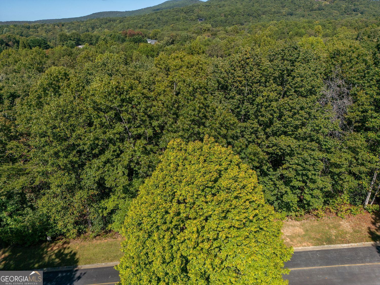 0 Plum Lane Clarkesville GA 30523