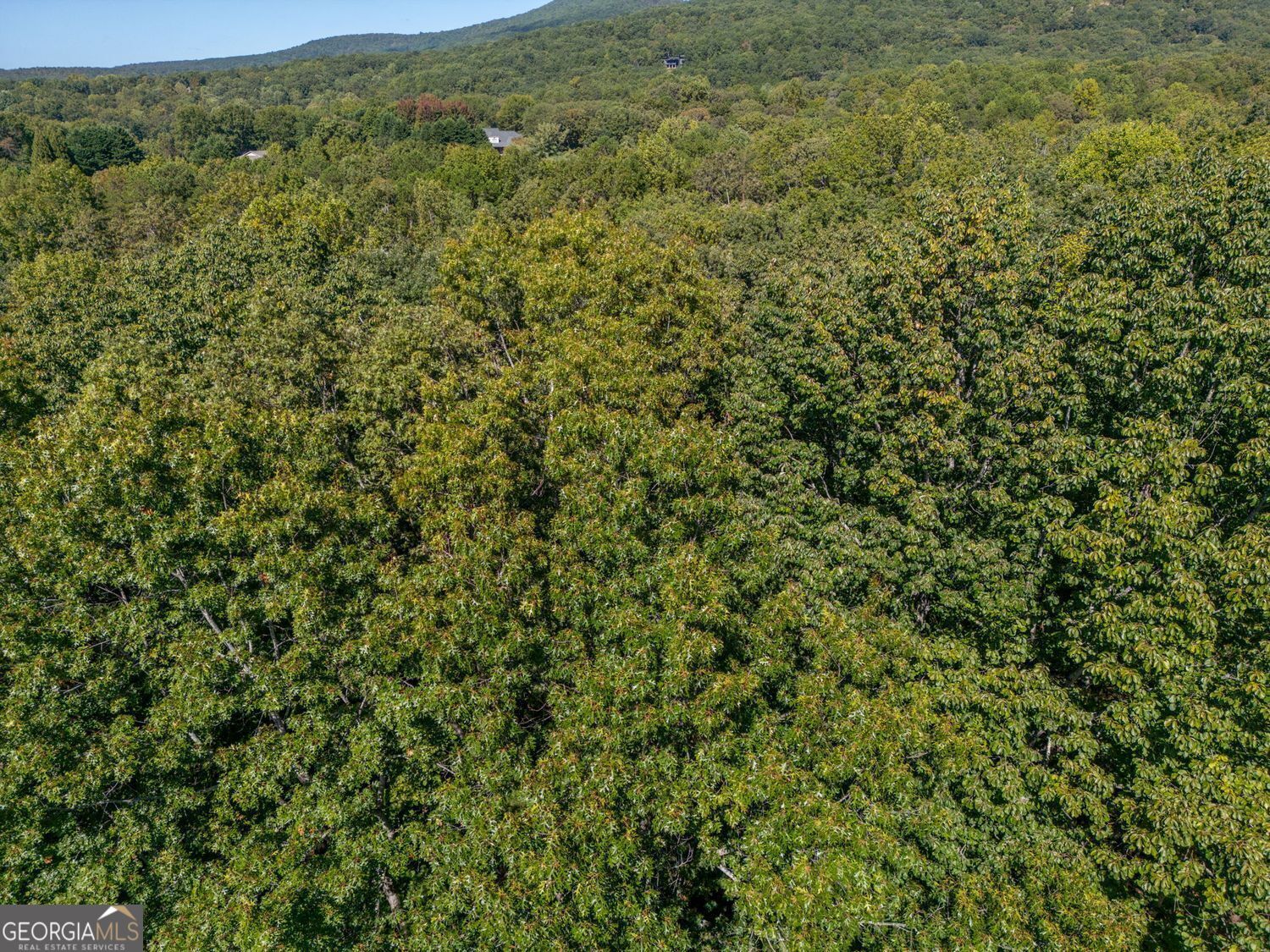 0 Plum Lane Clarkesville GA 30523