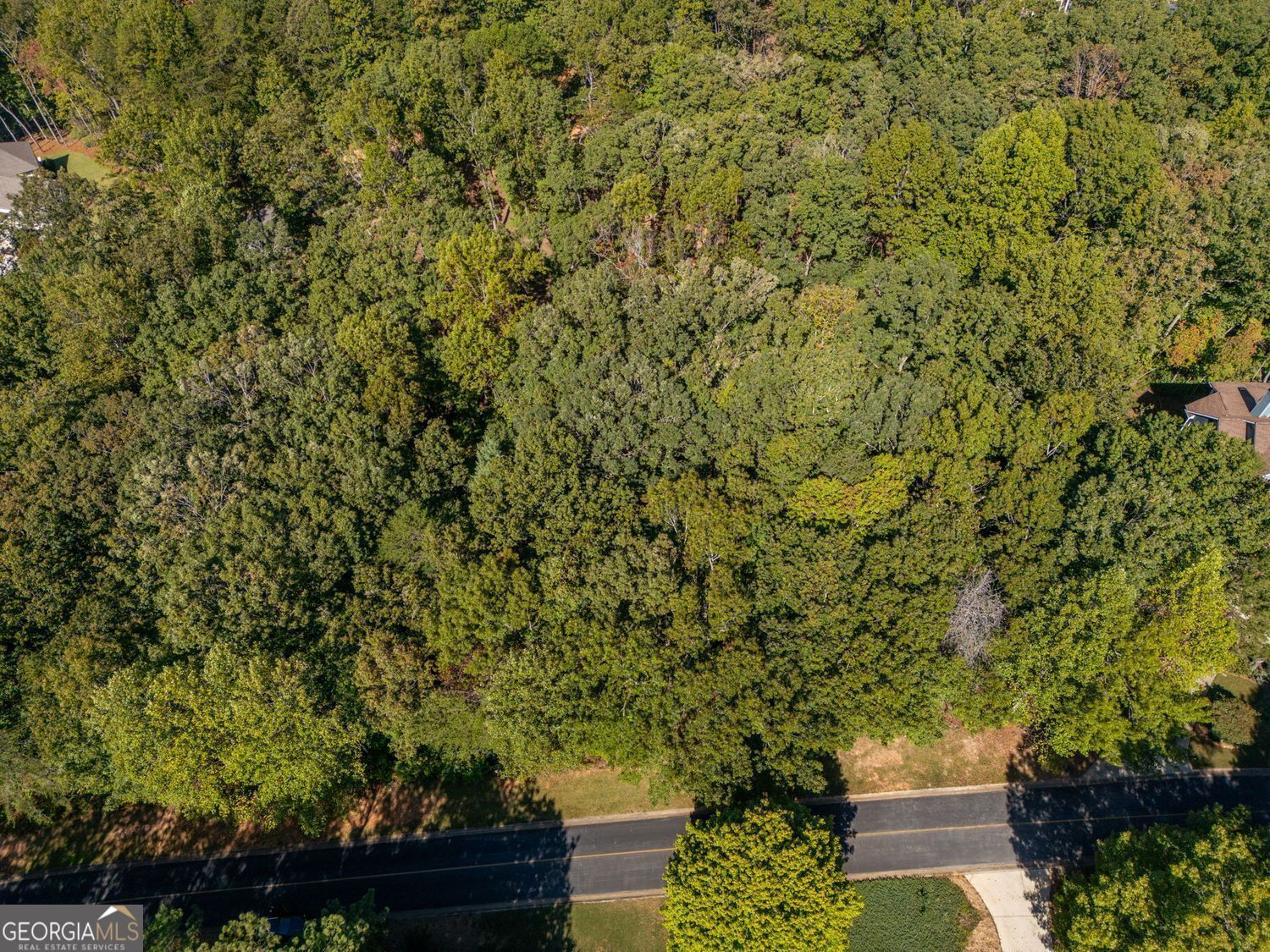 0 Plum Lane Clarkesville GA 30523