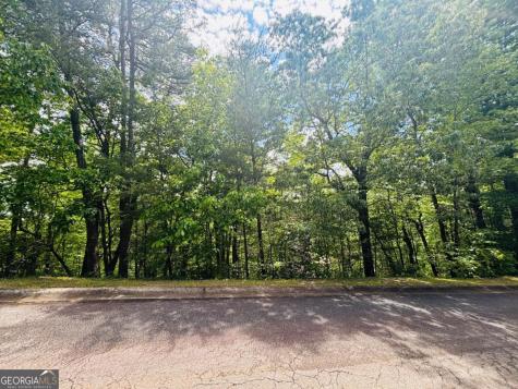 0 Rosen Strasse - Lot 141 Helen GA 30545