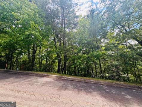 0 Rosen Strasse - Lot 141 Helen GA 30545