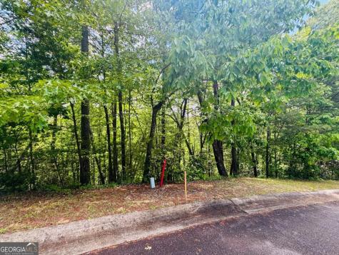 0 Rosen Strasse - Lot 141 Helen GA 30545