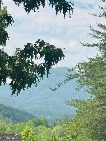 0 Rosen Strasse - Lot 141 Helen GA 30545