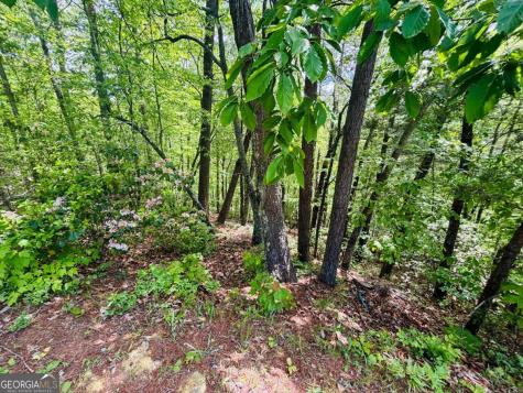 0 Rosen Strasse - Lot 141 Helen GA 30545